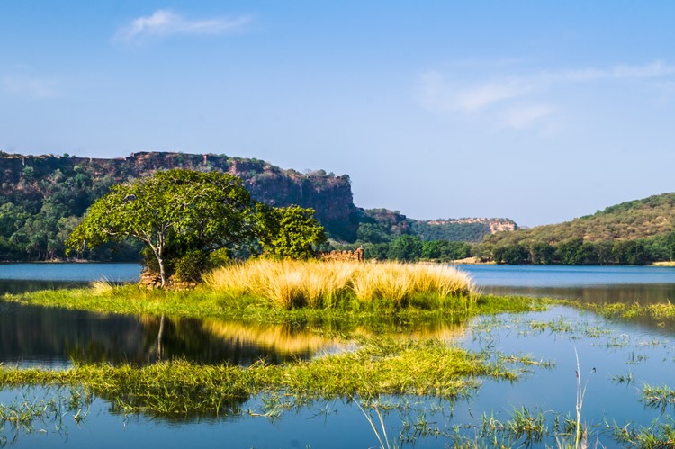 Raj Baug Lake in Ranthambhore Nationaal Park